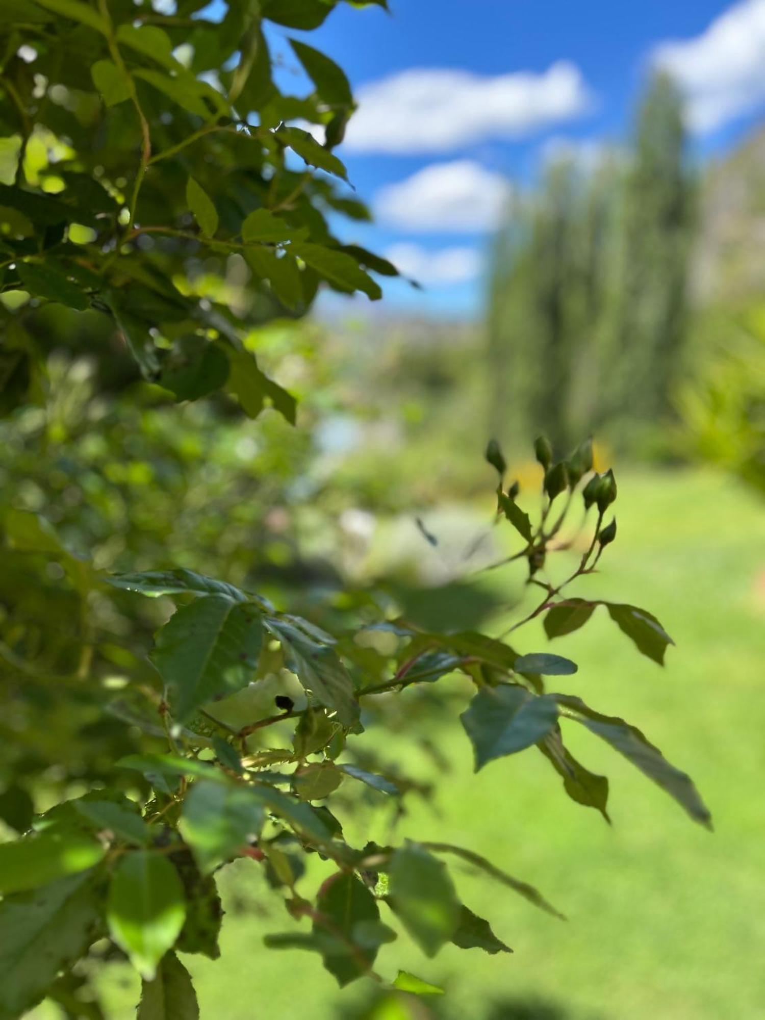 The Canyons B&B Queenstown Zewnętrze zdjęcie